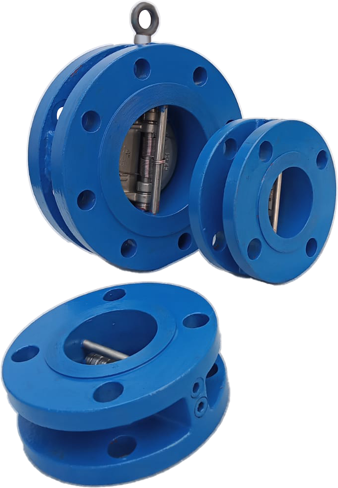 Double Dual Plate Check Valve